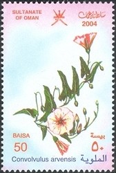 Colnect-1541-194-Convovulus-arvensis.jpg