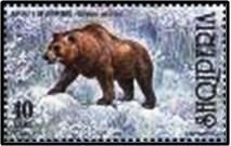 Colnect-1469-172-Brown-Bear-Ursus-arctos.jpg