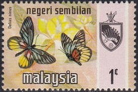 Colnect-1490-630-Malayan-Jezebel-Delias-ninus.jpg