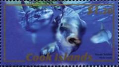 Colnect-1757-281-Ocean-Sunfish-Mola-mola.jpg