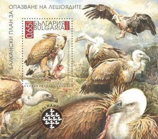 Colnect-1845-474-Griffon-Vulture-Gyps-fulvus.jpg
