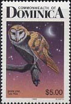 Colnect-2264-772-Common-Barn-Owl-Tyto-alba.jpg