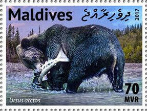 Colnect-6242-169-Brown-Bear-Ursus-arctos.jpg