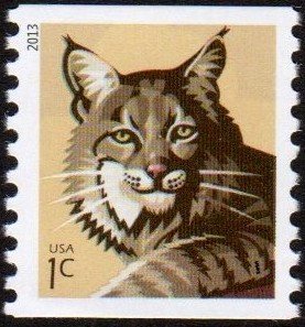 Colnect-1819-947-Bobcat-Lynx-rufus.jpg