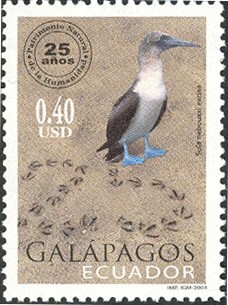 Colnect-883-594-Blue-footed-Booby-Sula-nebouxii-Footprints.jpg