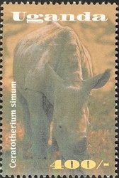 Colnect-1714-373-White-Rhinoceros-Ceratotherium-simum.jpg