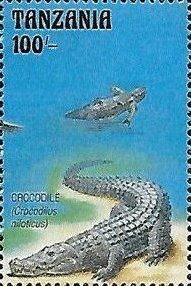 Colnect-6315-754-Crocodilus-niloticus.jpg