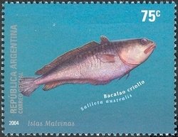 Colnect-1276-476-Red-Cod-Salilota-australis.jpg