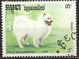 Colnect-1189-783-Samoyed-Dog-Canis-lupus-familiaris.jpg