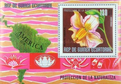 Colnect-2064-159-Solanum-tuberosum.jpg