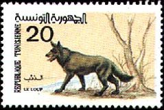 Colnect-552-929-Wolf-Canis-lupus.jpg