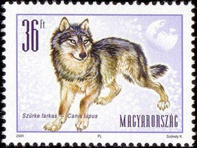 Colnect-661-602-Wolf-Canis-lupus.jpg