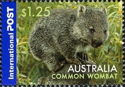 Colnect-420-432-Common-Wombat-Vombatus-ursinus.jpg