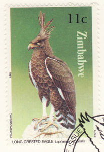 Colnect-1209-922-Long-Crested-Eagle.jpg