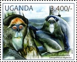 Colnect-1716-909-De-Brazza-s-Monkey-Cercopithecus-neglectus.jpg