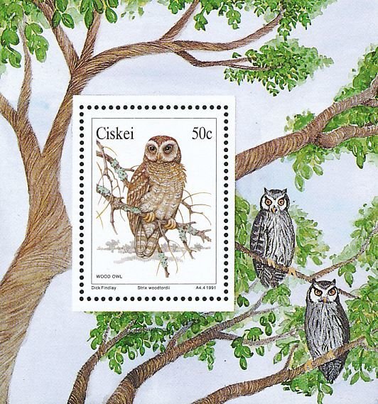 Colnect-1456-712-African-Wood-Owl-Strix-woodfordii.jpg