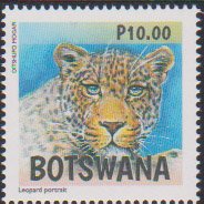 Colnect-4395-450-Leopards-of-Botswana.jpg