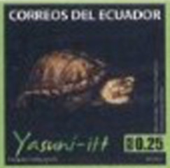 Colnect-2859-858-Yellow-footed-tortoise-Chelonoidis-denticulata.jpg
