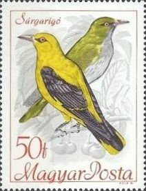 Colnect-459-504-Golden-Oriole-Oriolus-oriolus.jpg