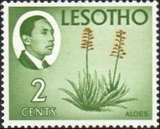 Colnect-1730-056-King-Moshoeshoe-II-and-Aloes.jpg