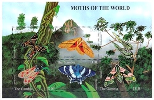 Colnect-2342-623-Moths-of-the-world.jpg
