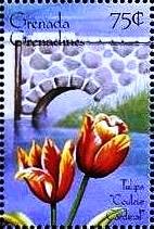 Colnect-4385-278-Tulip--quot-Coleur-Cardinal-quot-.jpg