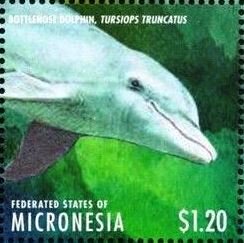 Colnect-5812-258-Bottlenose-dolphin.jpg