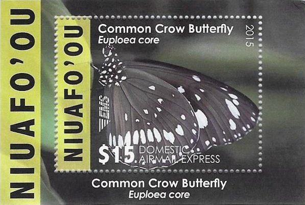 Colnect-4340-870-Common-Crow-Butterfly-Euploea-core.jpg