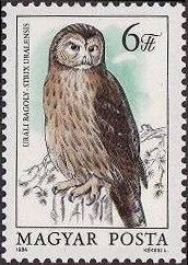Colnect-603-649-Ural-Owl-Strix-uralensis.jpg