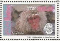Colnect-4916-611-Snow-Monkey-Japanese-Macaque-Macaca-fuscata.jpg