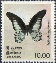 Colnect-862-169-Blue-Mormon-Papilio-polymnestor-parinda.jpg