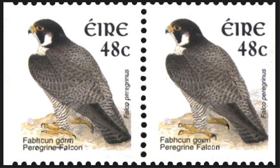 Colnect-1902-376-Peregrine-Falcon.jpg