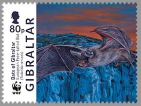 Colnect-4566-261-European-free-tailed-bat.jpg