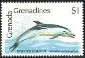 Colnect-2992-181-Striped-Dolphin-Stenella-caeruleoalba.jpg