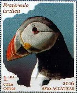 Colnect-3659-743-Atlantic-Puffin-Fratercula-arctica.jpg