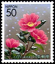 Colnect-816-284-Camellia-sasanqua-the-flower-of-K%C5%8Dt%C5%8D-Ward.jpg