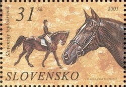 Slovakian-Warmblood-Equus-ferus-caballus.jpg