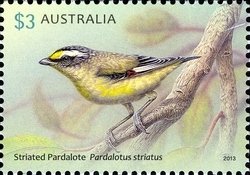 Colnect-2180-094-Striated-Pardalote-Pardalotus-striatus.jpg