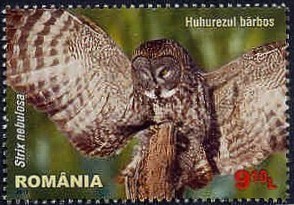 Colnect-1935-704-Great-Grey-Owl-Strix-nebulosa.jpg