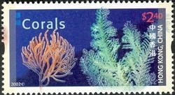 Colnect-961-999-Corals-Primnoa-resedaeformis-Antipatharia-sp-.jpg