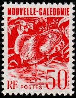Colnect-854-569-Kagu-Rhynochetos-jubatus.jpg