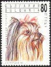 Colnect-449-622-Yorkshire-Terrier-Canis-lupus-familiaris.jpg