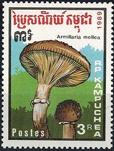 Colnect-2931-779-Armillaria-mellea.jpg