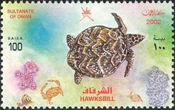 Colnect-1541-151-Hawksbill-Turtle-Eretmochelys-imbricata.jpg