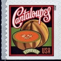 Colnect-2878-289-Harvest-Cantaloupes.jpg
