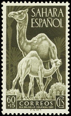 Colnect-1632-290-Dromedary-Camelus-dromedarius.jpg