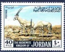 Colnect-1646-636-Arabian-Oryx-Oryx-gazella-leucoryx.jpg