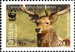 Colnect-1739-101-Bukhara-Deer-Cervus-elaphus-bactrianus.jpg
