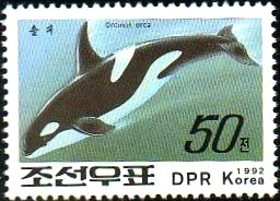 Colnect-723-010-Killer-Whale-Orcinus-orca.jpg