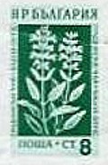 Colnect-1619-978-Garden-Sage-Salvia-officinalis.jpg